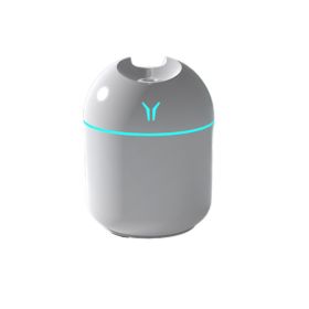 250ML Mini Ultrasonic Air Humidifier Romantic Light USB Essential Oil Diffuser Car Purifier Aroma Anion Mist Maker With LED Lamp